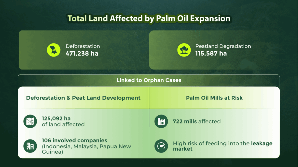 Total Land Affected by Palm Oil Expansion