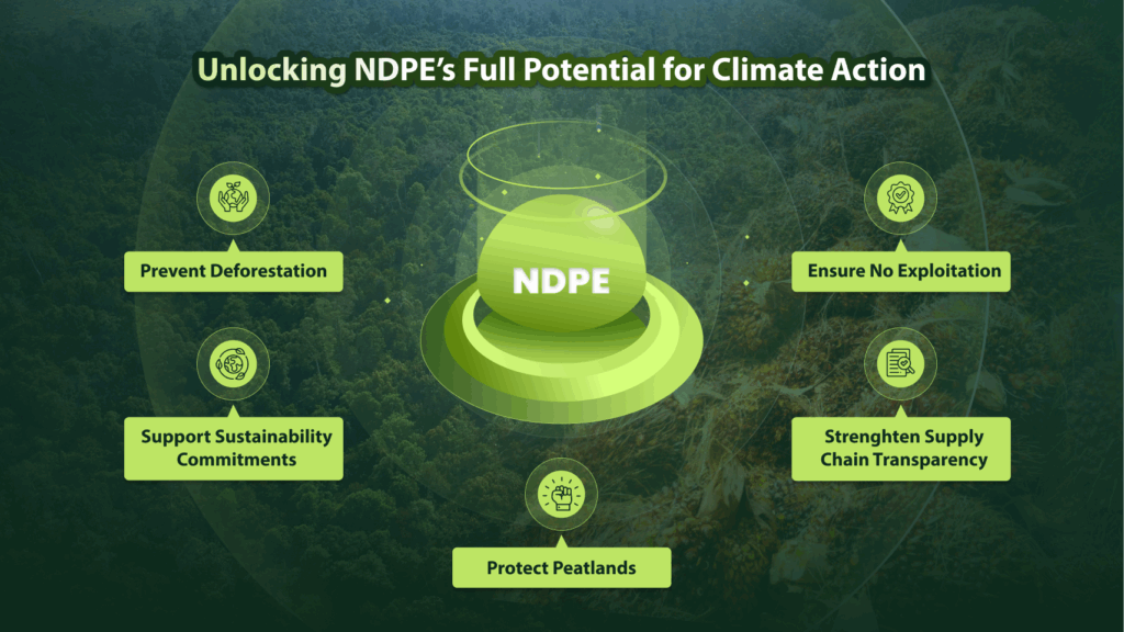 Unlocking NDPE's Full Potential for Climate Action 