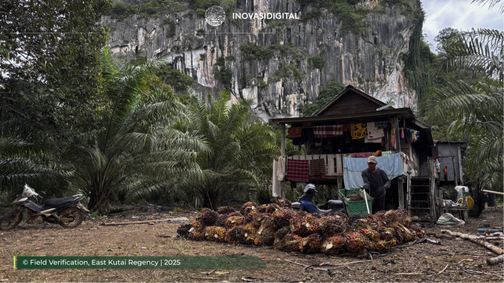 Global Palm Oil Mill Risk Assessment 2025, Inovasi Digital